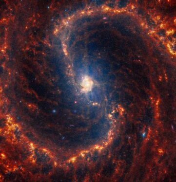 See Webb Telescope’s ‘Mind-Blowing’ Collection of Spiral Galaxy Images