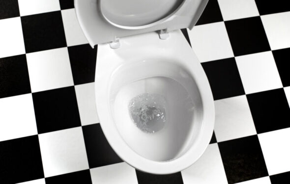 Should you flush with toilet lid up or down? Study says it doesn’t matter