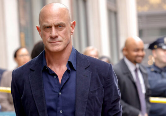 Stabler’s Younger Brother Cast For Law & Order’s New Season