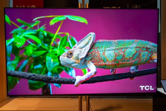 TCL came to CES 2024 with a 115-inch MiniLED Quantum Dot TV