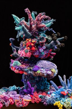 The Crochet Coral Reef Keeps Spawning, Hyperbolically