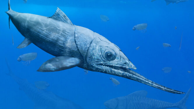 This Ancient Fish Gave the Whole Ocean the Stiff Lower Lip