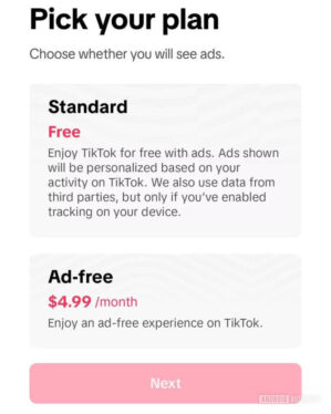 TikTok Testing Whether Users Will Put Up With Every Video Being an Ad