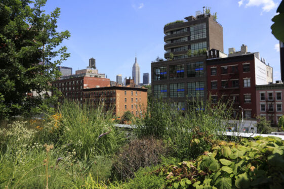 Urban agriculture’s carbon footprint can be worse than that of large farms