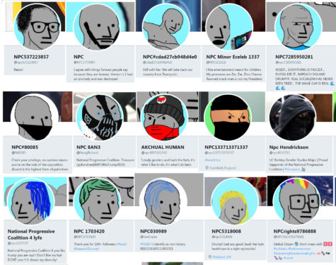 What is an NPC?