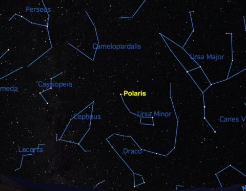 February’s Night Sky Notes: Constant Companions: Circumpolar Constellations, Part I
