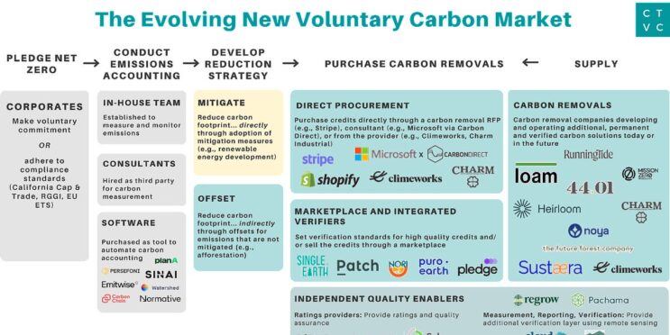 Forget Carbon Offsets. The Planet Needs Carbon Removal Credits