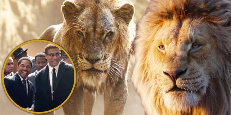 Mufasa: The Lion King’s Scar & Mufasa Booked The Same Follow-Up Without Telling Each Other