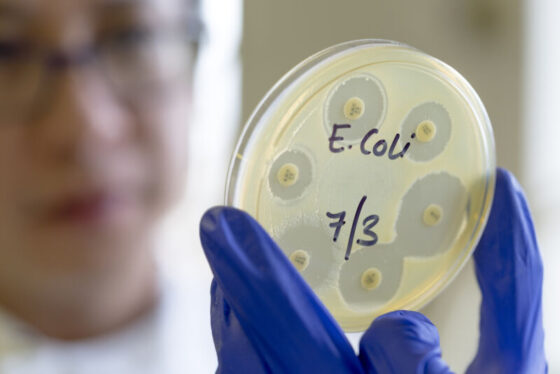New E. coli strain will accelerate evolution of the genes of your choice