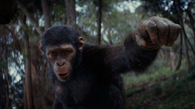 New Kingdom of the Planet of the Apes Trailer Takes the Story to Another Level