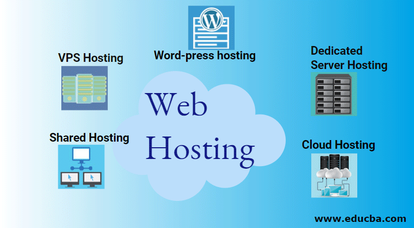 What is web hosting and why do you need it?