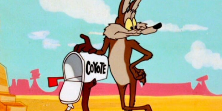 “You Would Be So Proud”: Coyote Vs. Acme’s Will Forte Shares Heartfelt Message Over Movie’s Cancellation