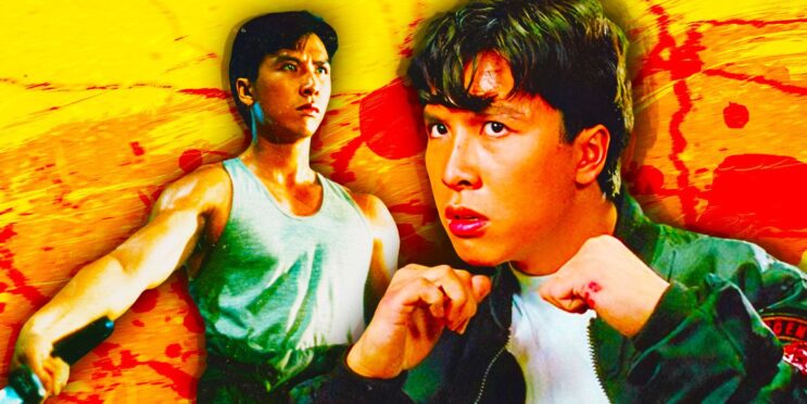 10 Underrated Donnie Yen Movies You Need To See