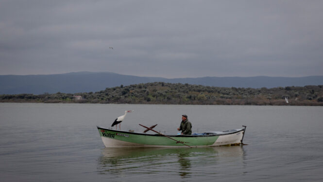 A Stork, a Fisherman and Their Unlikely Bond Enchant Turkey