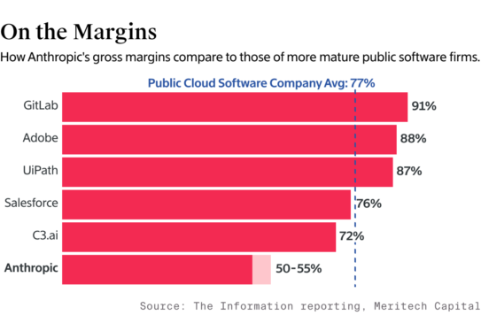 AI startups’ margin profile could ding their long-term worth