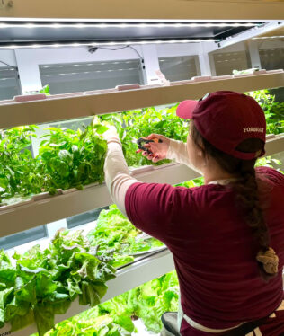 Babylon Micro-Farms is bringing vertical farming to K-12 classes