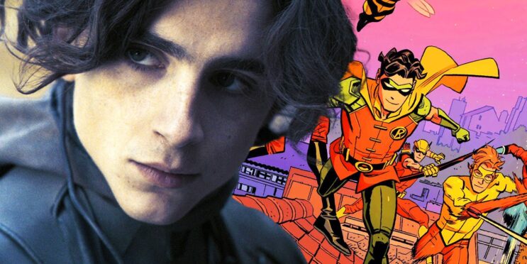 DC Just Made Everyone’s Favorite Timothée Chalamet Fan-Casting More Likely