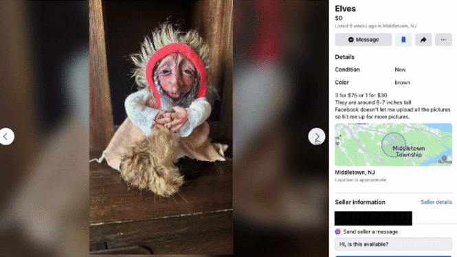 Facebook Marketplace Is a Surreal Nightmare. These Are the Most Unhinged Listings