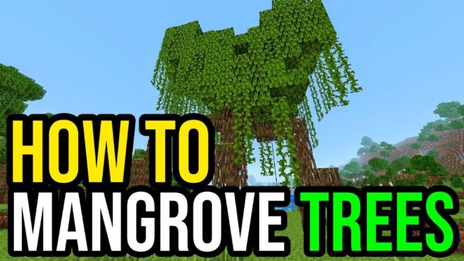 How to grow mangrove trees in Minecraft