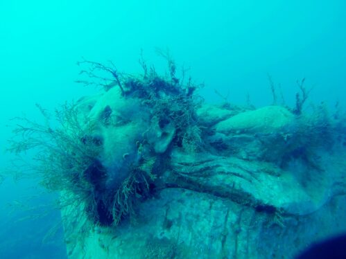 Illegal Trawlers Are No Match for Undersea Sculptures