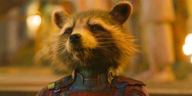 James Gunn Explains Rocket Raccoon’s Name Meaning So Perfectly It Makes Guardians Of The Galaxy 3 Even Better