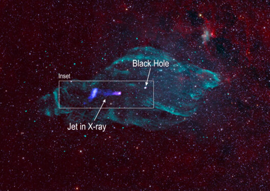 NASA’s Imaging X-ray Polarimetry Explorer (IXPE) Helps Researchers Maximize “Microquasar” Findings