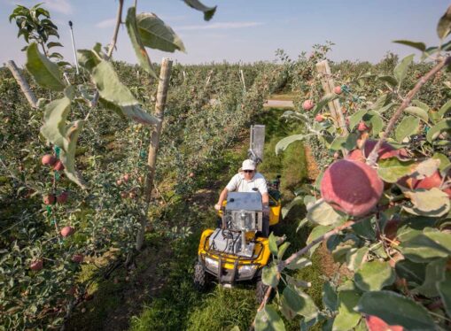 Orchard vision system turns farm equipment into AI-powered data collectors