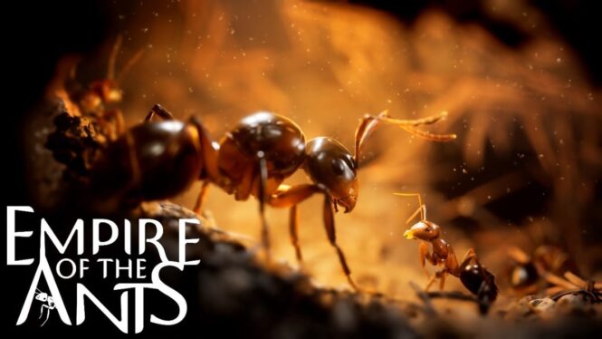 This strategy game about photorealistic ants will have you bugging out