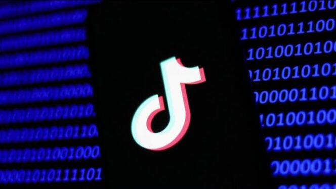 Three Politicians Who Voted for the TikTok ‘Ban’ Have Active Accounts