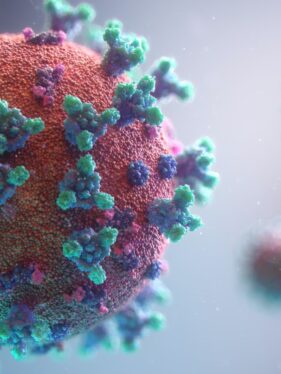 What’s Next for the Coronavirus?