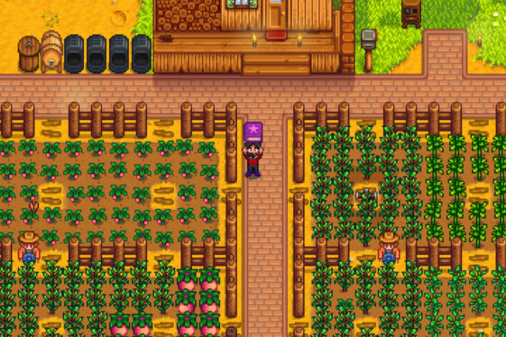 Where to find the bookseller in Stardew Valley