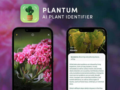 A lifetime subscription to this AI plant identifier app is on sale for 71% off