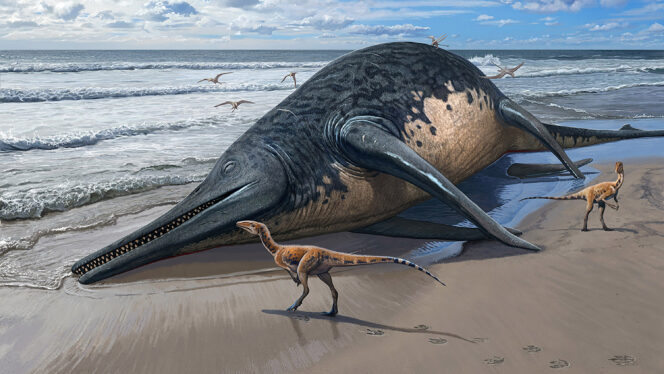 An 11-Year-Old Girl’s Fossil Find Is the Largest Known Ocean Reptile
