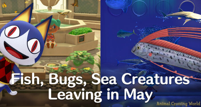 Animal Crossing: Everything New in May 2024 (Bugs, Fish, Seasonal Items)