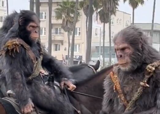 California Gets a Taste of What a Real Planet of the Apes Might Look Like