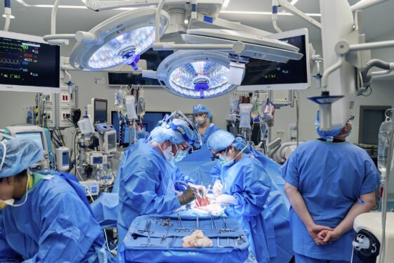 Doctors Combined a Heart Pump and Pig Kidney Transplant in Breakthrough Surgery