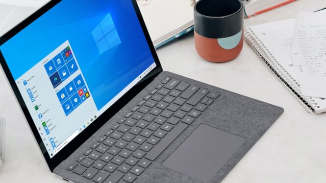 Get MS Office Pro 2021 and Windows 11 Pro for under £50