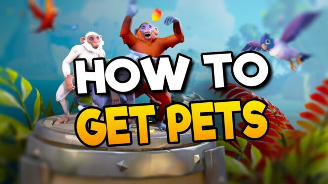 How to get pets in Sea of Thieves