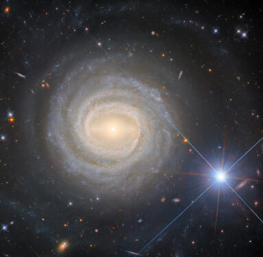 Hubble Spots a Magnificent Barred Galaxy