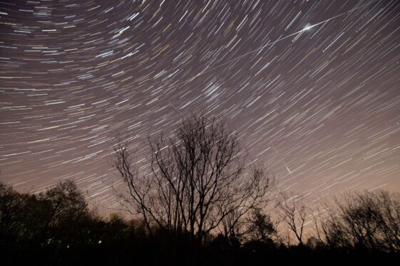 Lyrid Meteor Shower 2024: Peak Time and How to Watch