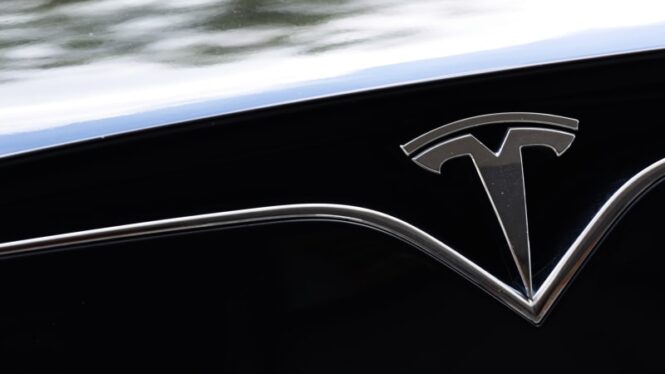 Reactions to Tesla layoffs: ‘ominous sign’ or ‘a positive’?