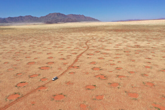 Scientists Discover Mysterious Ecosystem Beneath Earth’s Driest Desert
