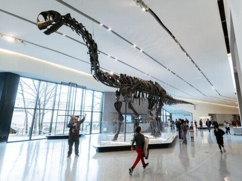 The Cleveland Museum of Natural History Seeks New Ways to Engage Visitors