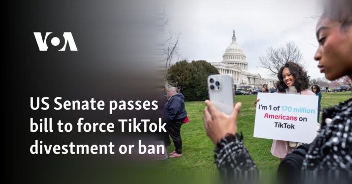 TikTok Divest-or-Ban Bill Passes in the Senate