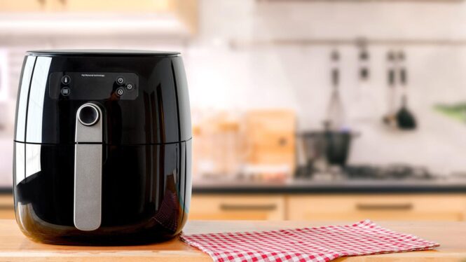 Your Air Fryer Is Just a Little Oven That Blows