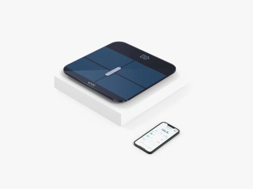 3 Best Smart Scales (2024): Luxe, Budget, and All App-Connected