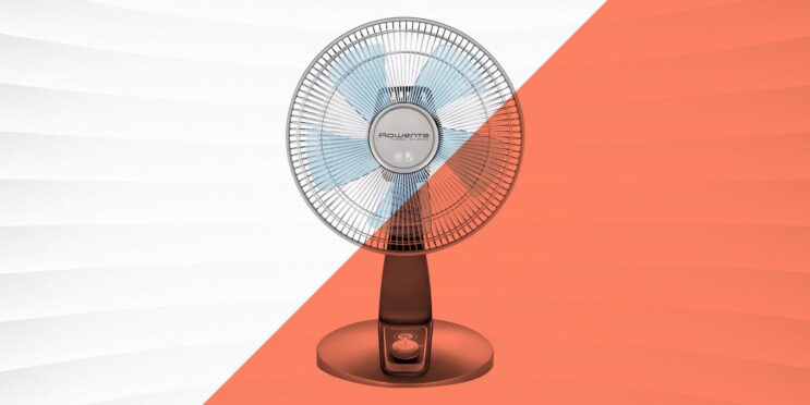 5 Oscillating Fans to Help You Stay Cool for Summer: Get Yours Now