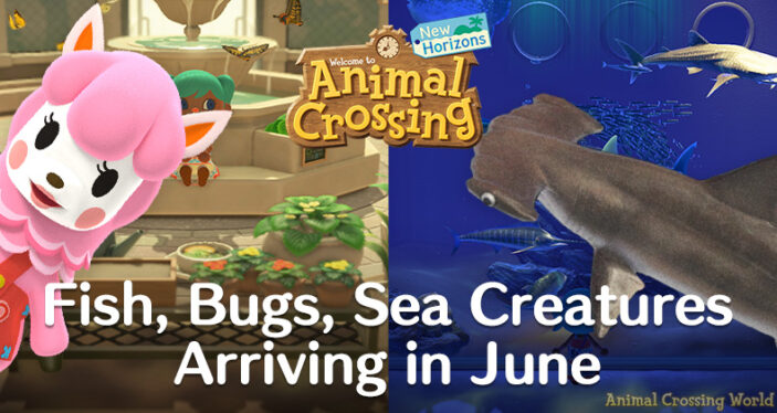 Animal Crossing: Everything New in June 2024 (Bugs, Fish, Seasonal Items)