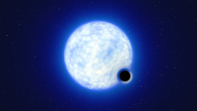 Are stars vanishing into their own black holes? A bizarre binary system says ‘yes’