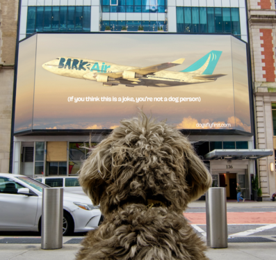 Bark, the New Airline Service for Dogs, Takes Off